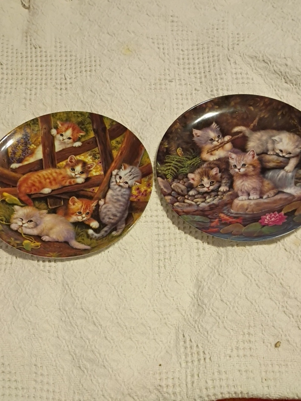 Decorative Kitten Plate Set - Multicolor